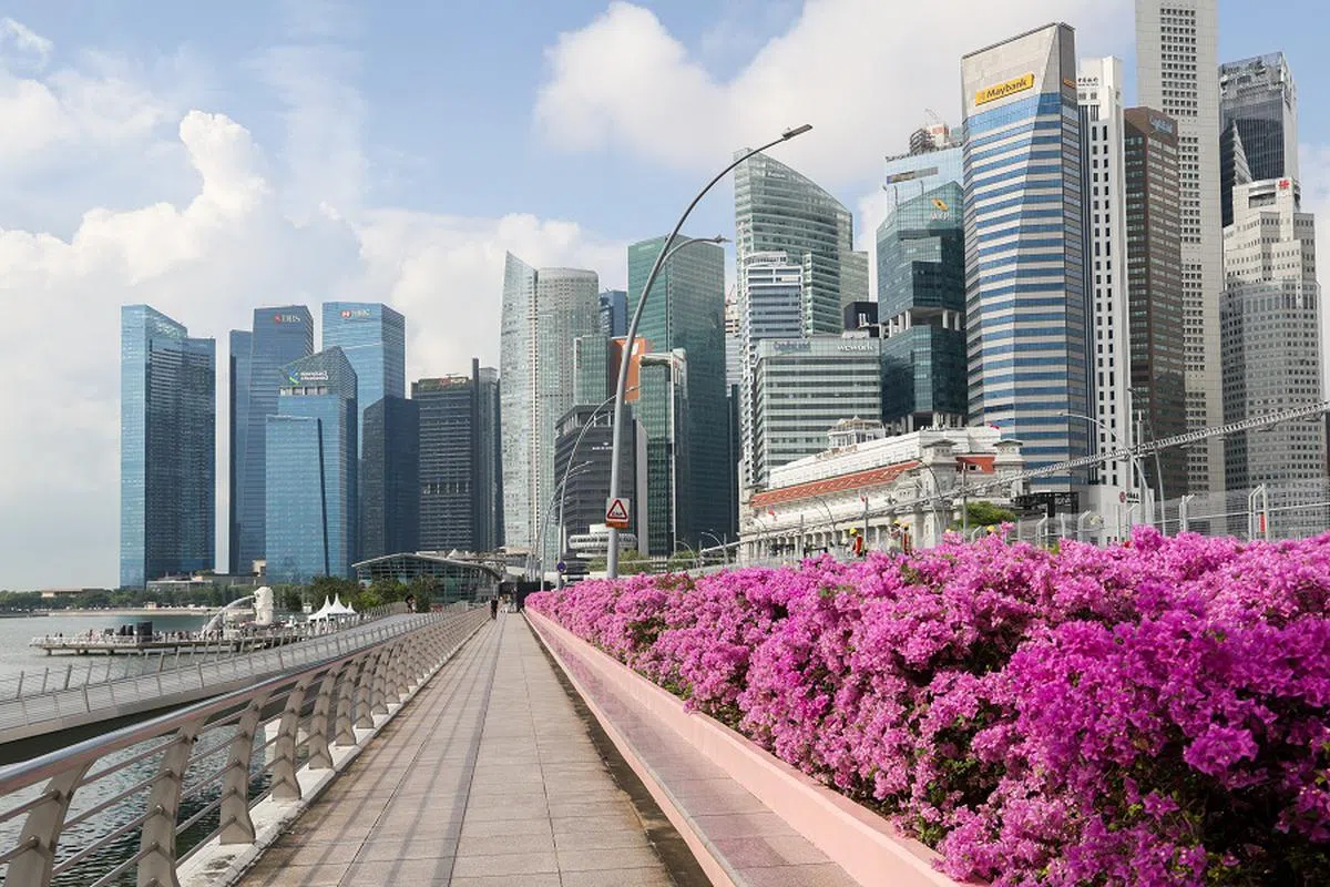 新加坡的金字招牌，原来还能为外国企业增添国际色彩？（联合早报）