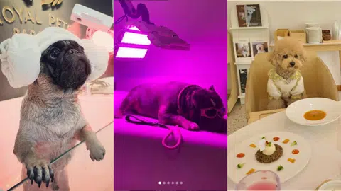 （红蚂蚁制图）