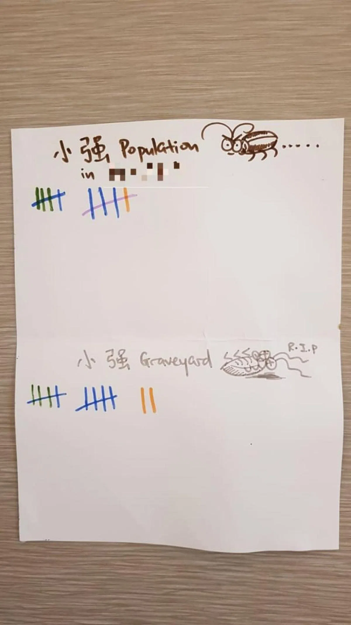  一家人两个可联通的房间后，共发现10只活蟑螂和12只死蟑螂，蟑螂出现在床上、行李、厕所、地板、墙壁。（陈恺丽） 