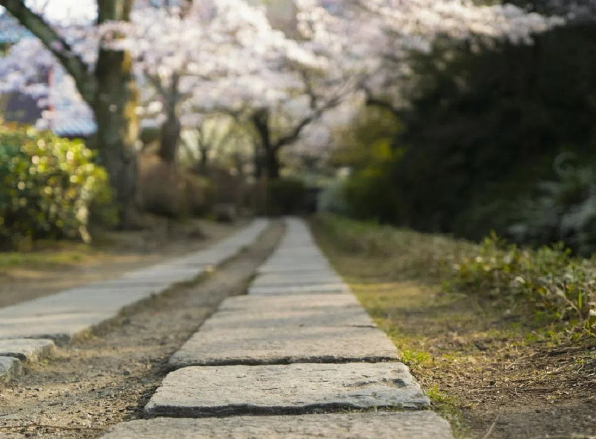 踩着石板，想着人生。（互联网）