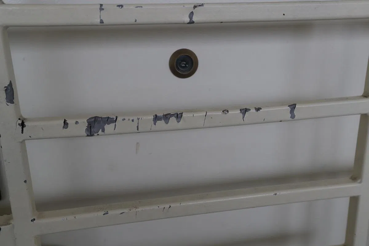  据说这是75道深浅不一的刀痕，红蚂蚁表示看不太出。（联合晚报） 