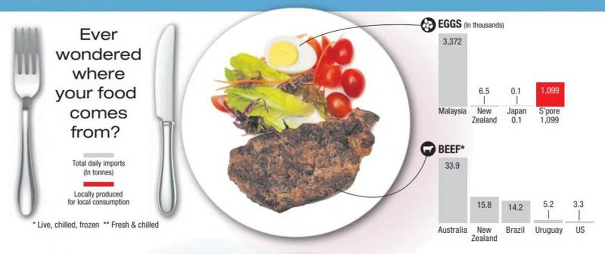  新鲜鸡蛋大部分进口自马国，但新加坡也有鲜蛋替代品，如蛋液蛋粉等等。牛肉的主要来源国则是澳大利亚。（新报） 