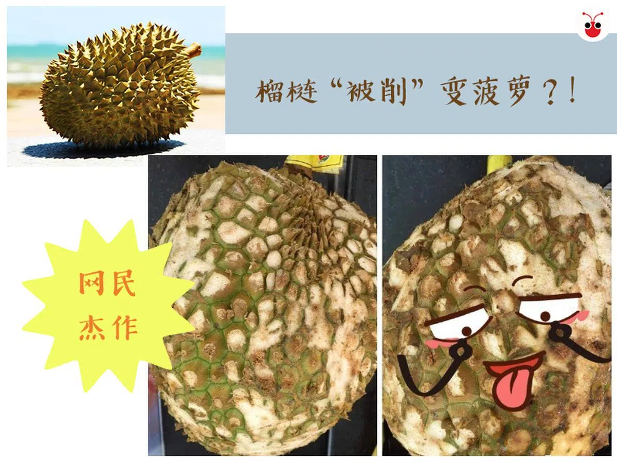 网友将榴梿削成“菠萝”，企图混过安检。（李雅歌制图） 
