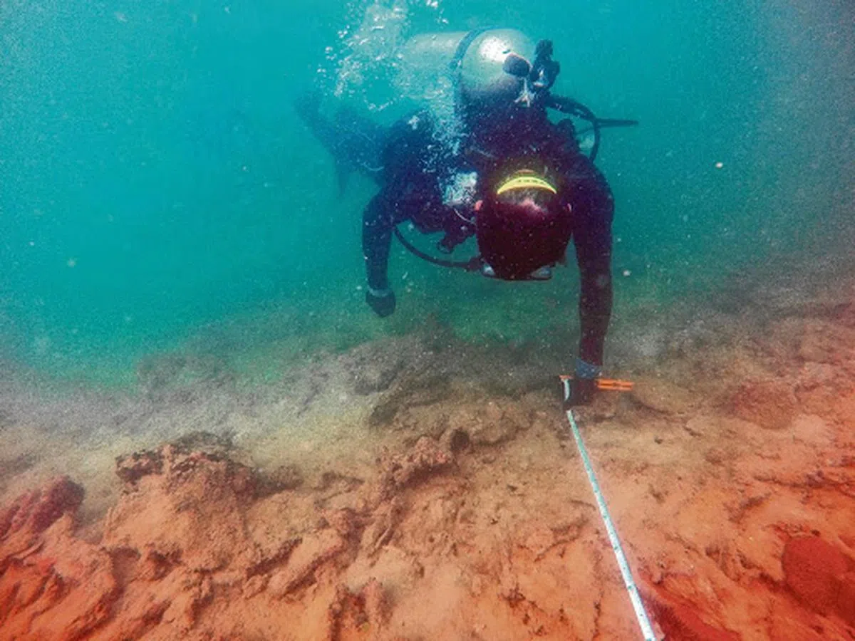  新加坡潜水员经常检测韩都岛水域情况，图为一条名为珊瑚警告（Reef Alert）的海洋保护项目界限。（海峡时报） 