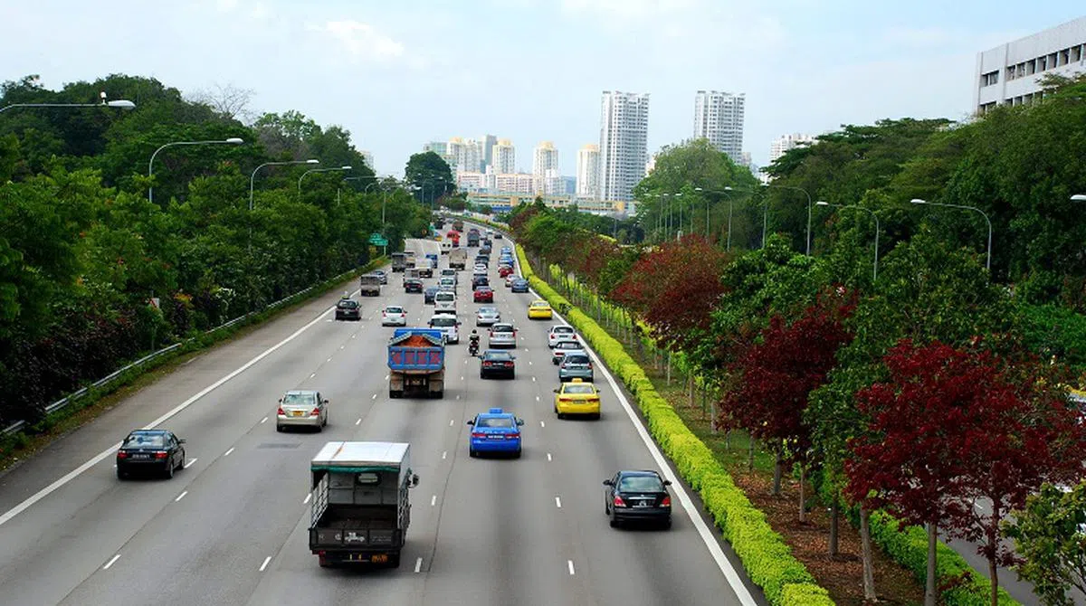  岛国每条道路上的树木，不仅经过精心规划，确保排列齐整，路边树种类也经过细心挑选，致力为每个市镇营造不同个性。（国家公园局） 