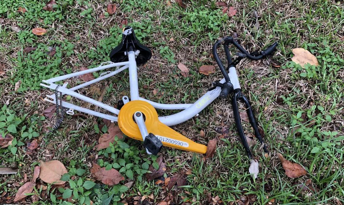 有用户甚至在网上讨论，是否应该把oBike搬回家“抵债”。（推特）