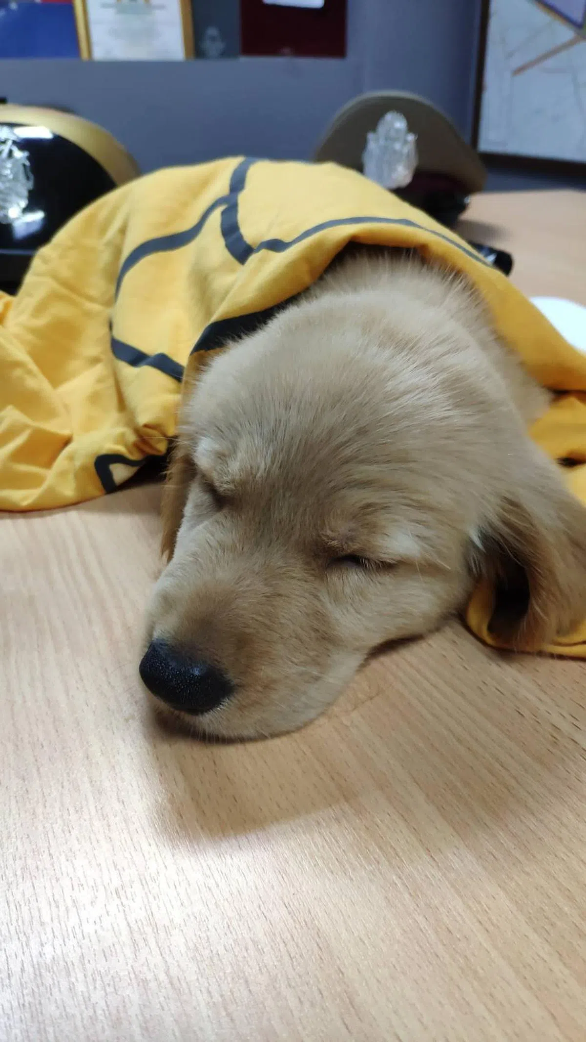 （曼谷伦披尼警察局面簿）