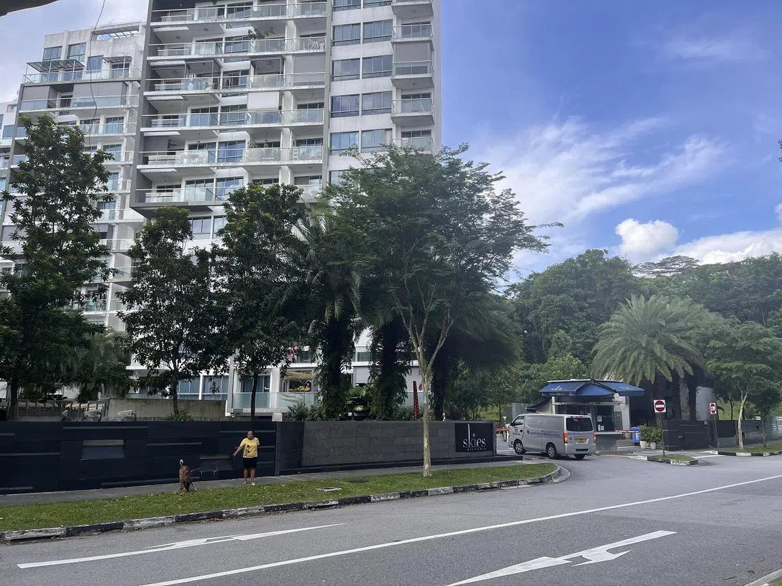 位于义顺1道的Skies Miltonia公寓。（新明日报）