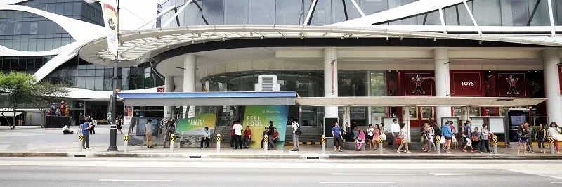 （联合早报）