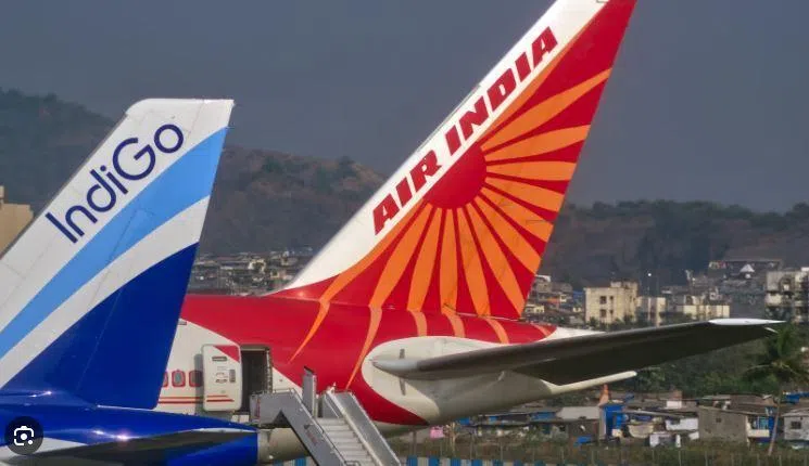 印度两大主要航空公司：印度航空（Air Inida）和靛蓝航空（IndiGo）。