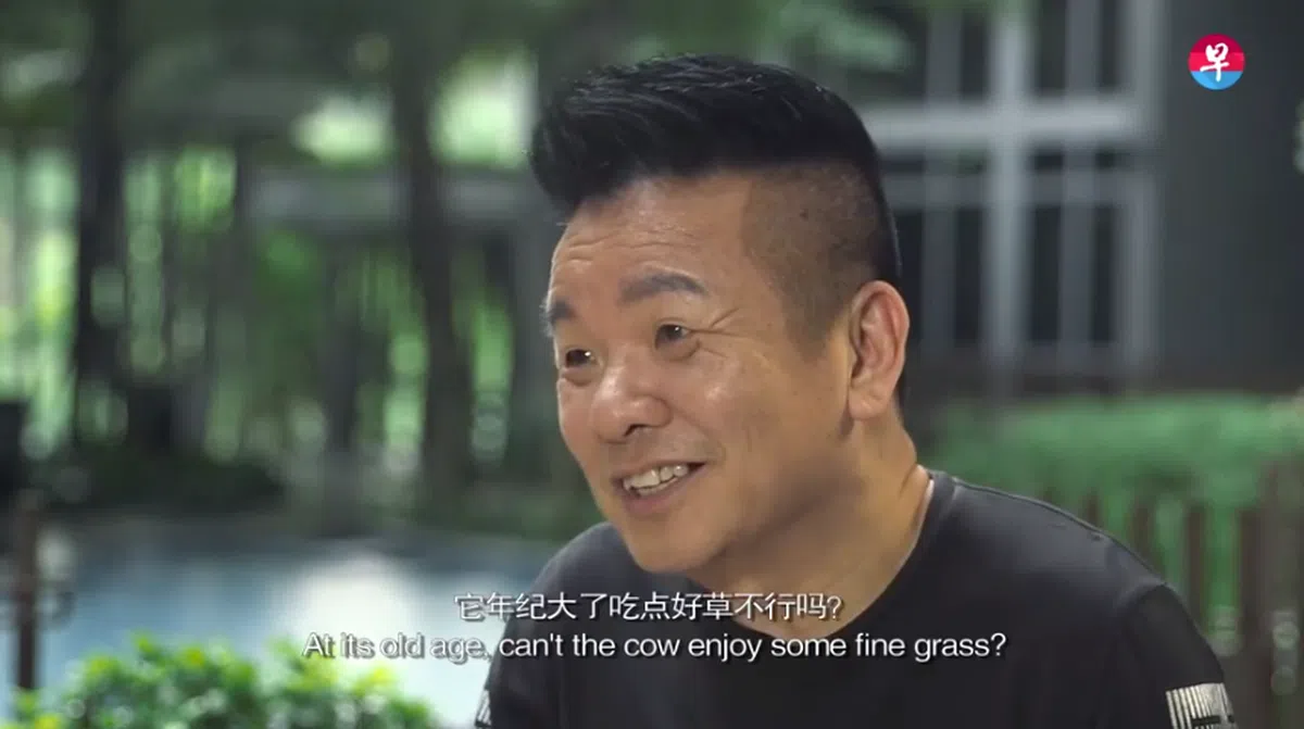  陈建彬在联合早报的专访中表示“老牛年纪大了吃点好草不行吗？”（联合早报） 