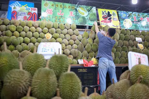 本地贩卖多种榴梿品种。（海峡时报）