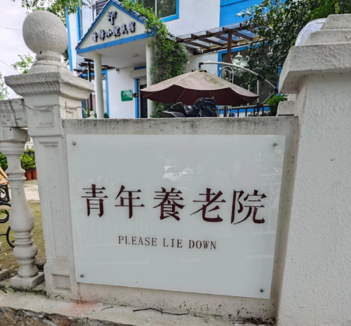 是“请躺下”还是“请躺平”？（小红书）