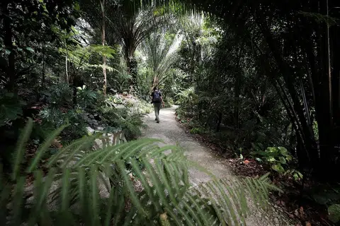 像一名探险家一样去看待我们的周遭。（海峡时报） 