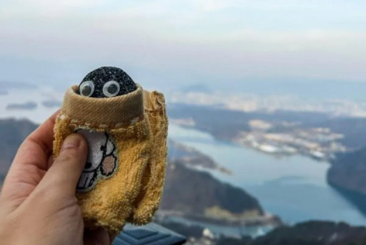 Lee So-hee用旧毛巾给宠物石做了一条毯子，还带着它出国旅行。（Instagram/Lee So-hee）