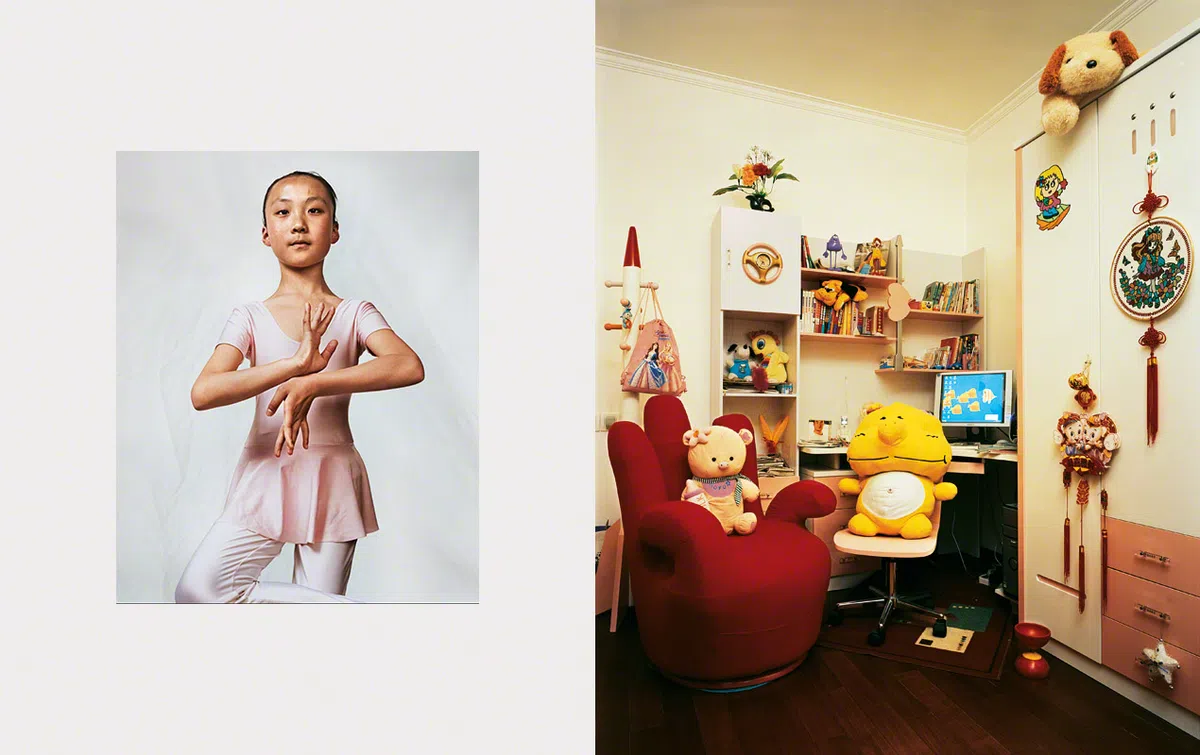  （取自James Mollison网站） 