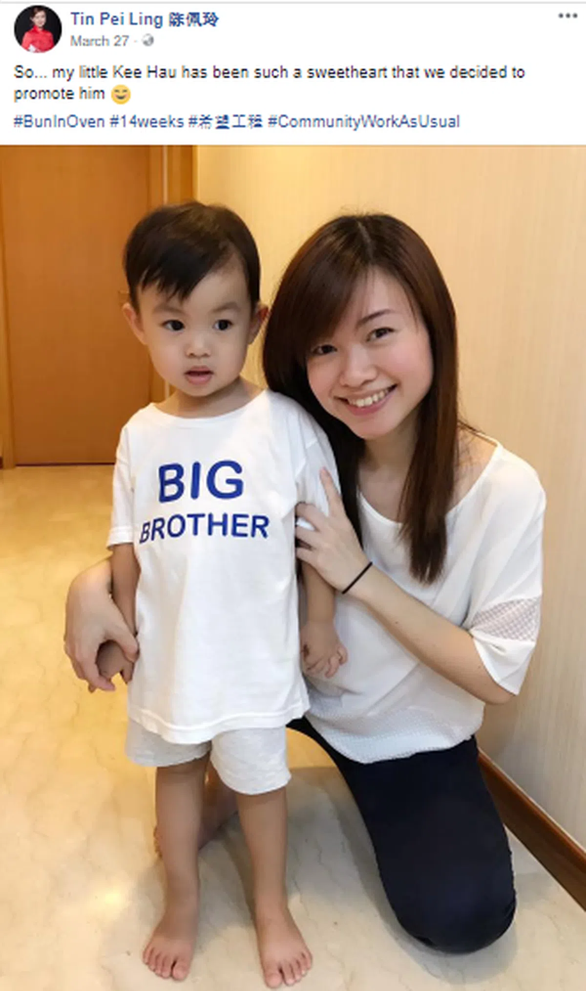  陈佩玲3月27日在面簿与穿着“Big Brother”（大哥）英文字T恤衫的大儿子一起合照，宣布自己怀上第二胎。有趣的是，Big Brother在英文语境里常被用来指政府，是巧合，还是有弦外之音？（陈佩玲面簿） 