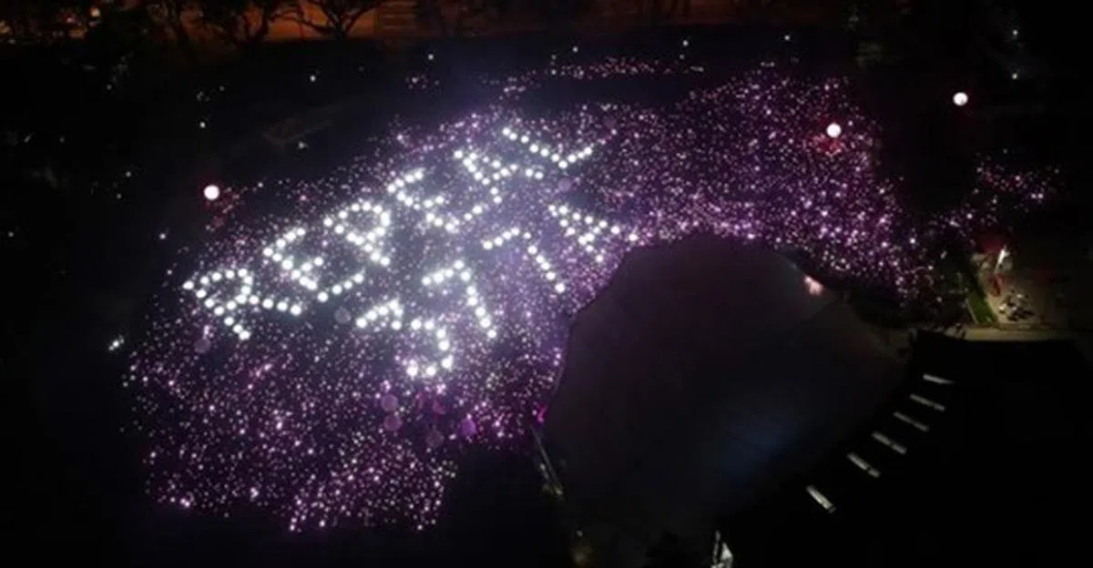  （Pink Dot SG面簿） 