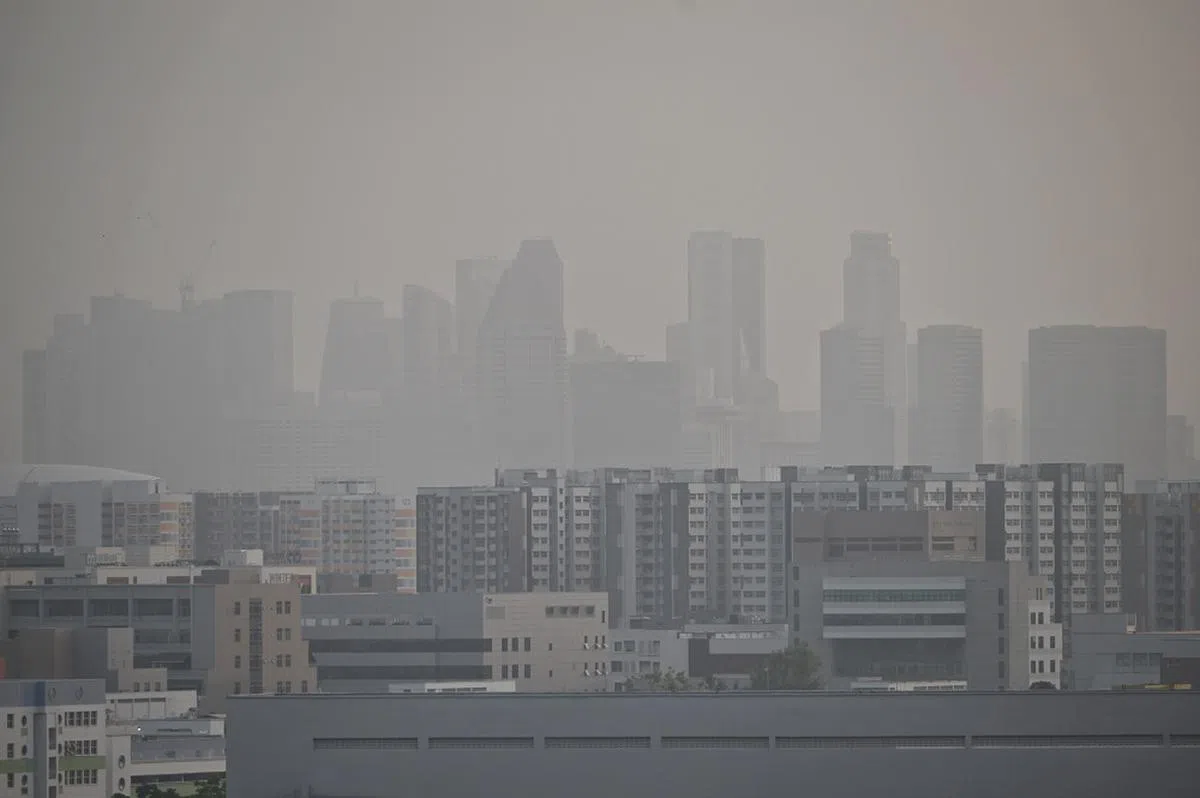 来自印尼的跨境烟霾提醒我们，环境污害一样会影响到邻国。（海峡时报）