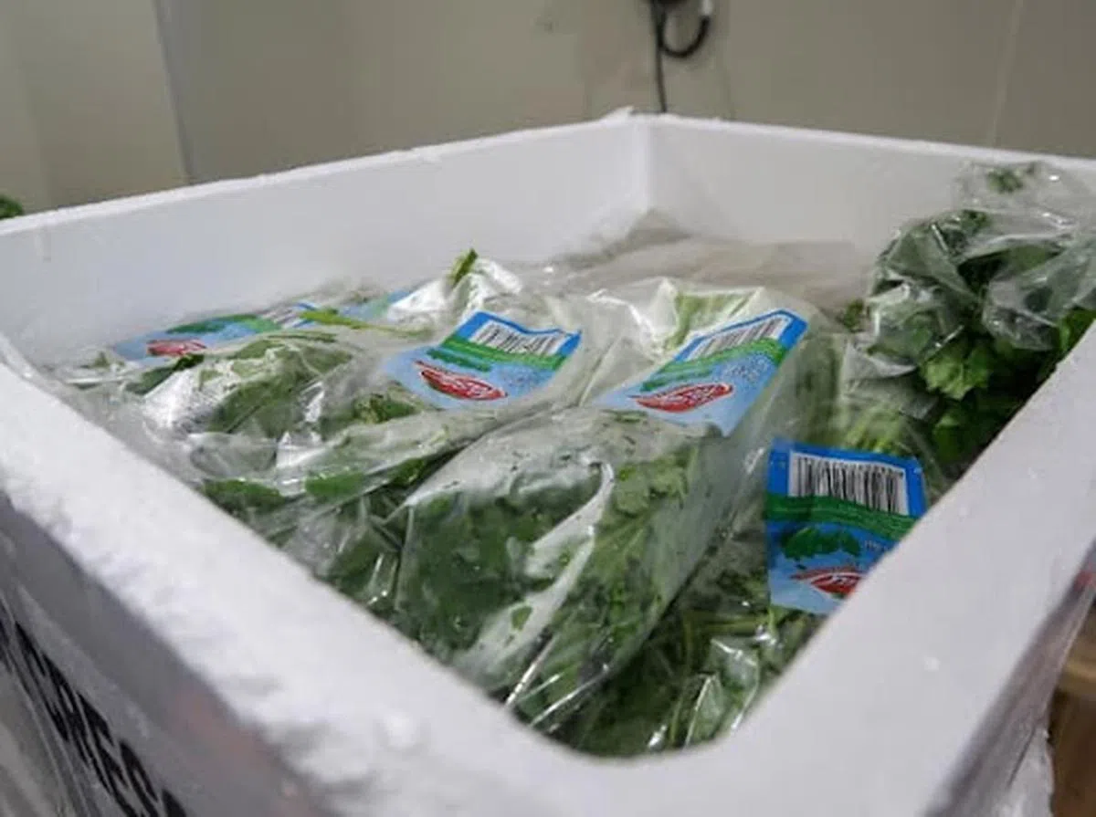  全是在超市常见的蔬菜品牌。（陈振声面簿） 