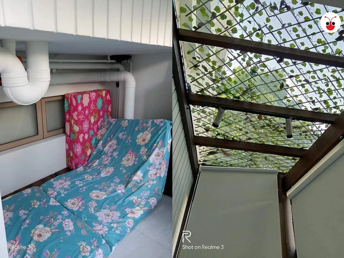 女佣称雇主让她睡厕所水管下，空间很小，站起来还会撞头。（张丽苹制图）