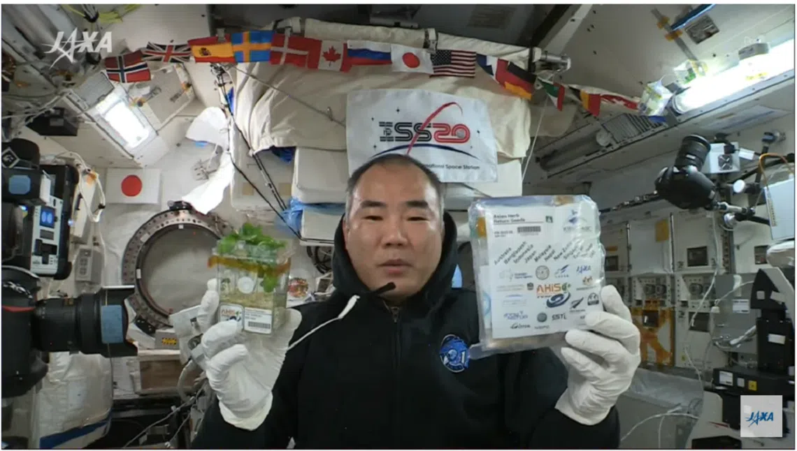 （日本宇宙航空研究开发机构）