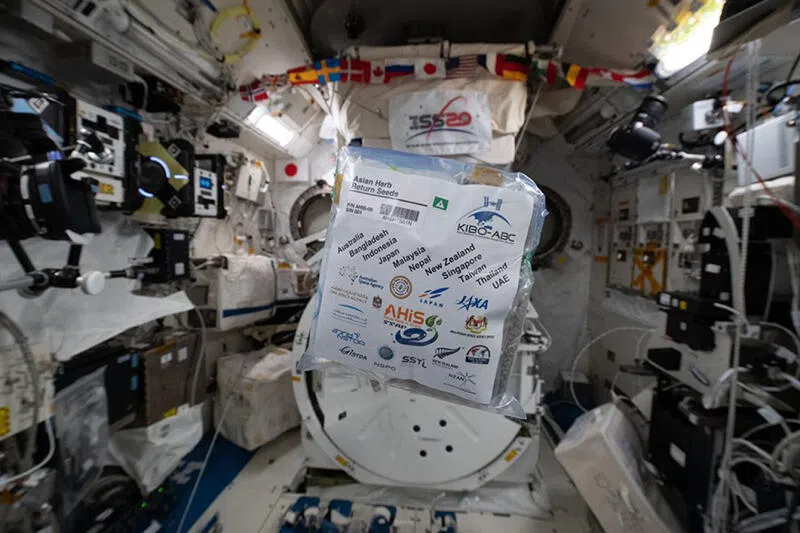 各国去年把选定的种子送达日本宇宙航空研究开发机构，让它们搭上给太空人送补给物资的太空船，前往国际太空站。（日本宇宙航空研究开发机构）