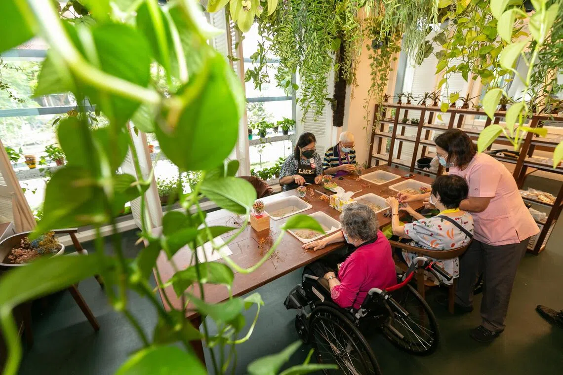 位于欧南社区医院的“慈怀绿洲”（Oasis@Outram Day Hospice）于2022年7月13日正式开幕，是本地第一家能同时照料儿童和年长临终病患的日间慈怀中心。