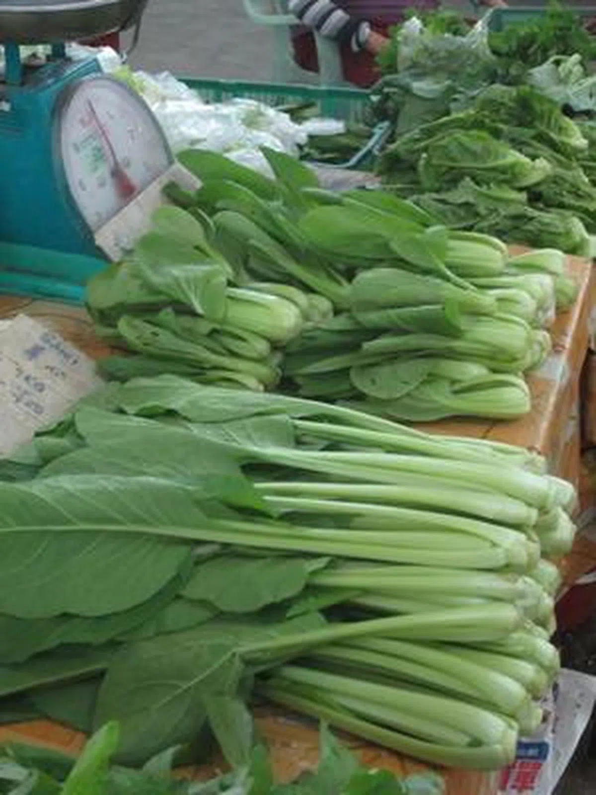  菜心的价格不增反减。（中国报） 