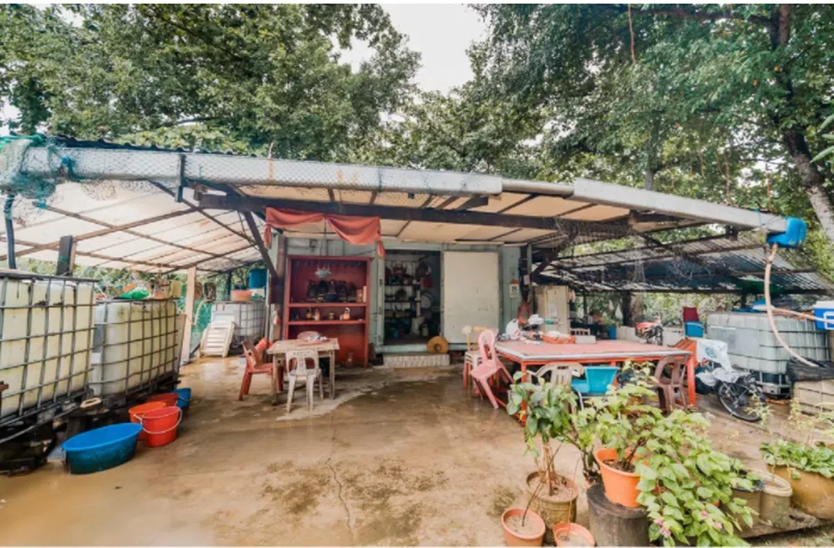 渔村上的小屋麻雀虽小五脏俱全，而且还很有甘榜感觉。（TheSmartLocal） 