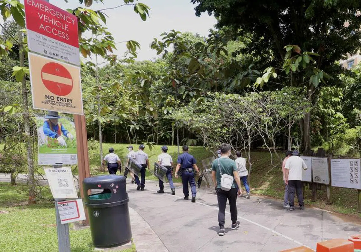 国家公园局人员和10多名手持盾牌的警察花了好几个小时搜捕野猪。（联合早报）