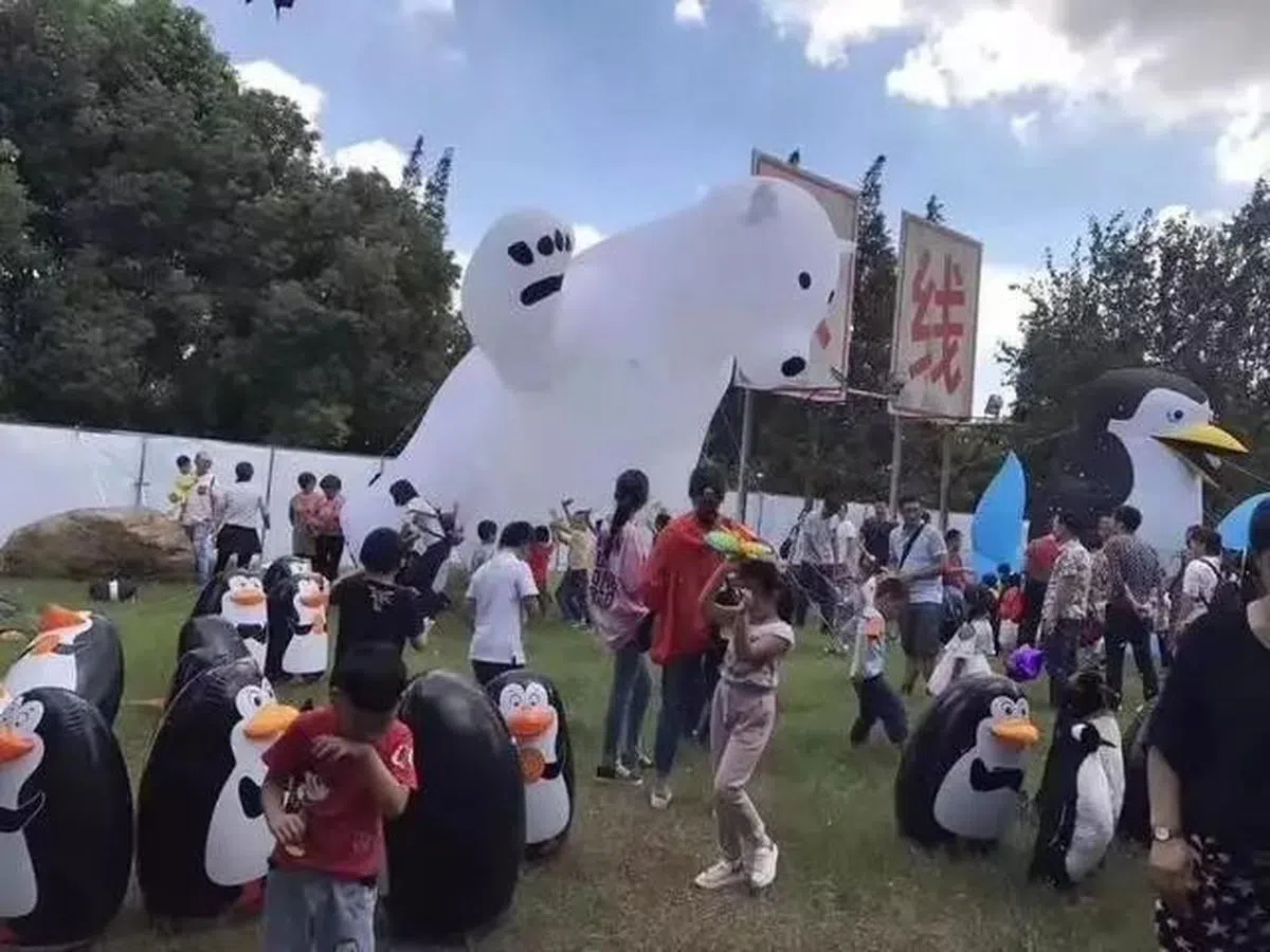  所谓的“企鹅”全是充气的塑料企鹅，一只真企鹅也没有，让人大跌眼镜。（互联网） 