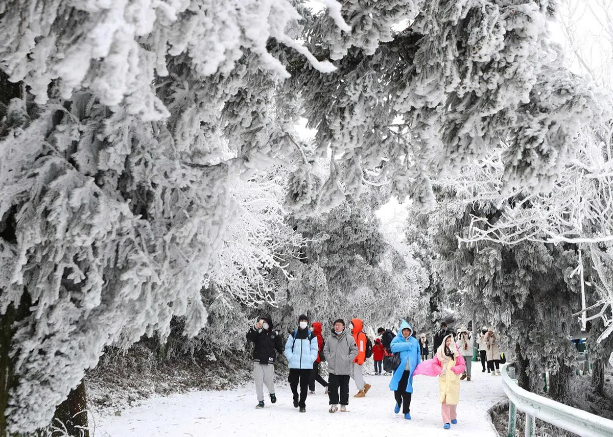 湖南南岳衡山的雪景。（法新社）