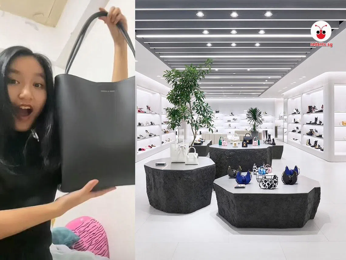 事件起源：居住在新加坡的少女佐伊（17岁）通过自媒体炫耀父亲送她一个本地品牌（Charles & Keith）的托特包包作为生日礼物，并称之为“奢侈品”。（红蚂蚁制图）