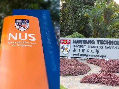 新加坡国立大学和南洋理工大学的国际大学排行榜上分别挺进到第11（国大）和第12（南大）。（张丽苹制图）