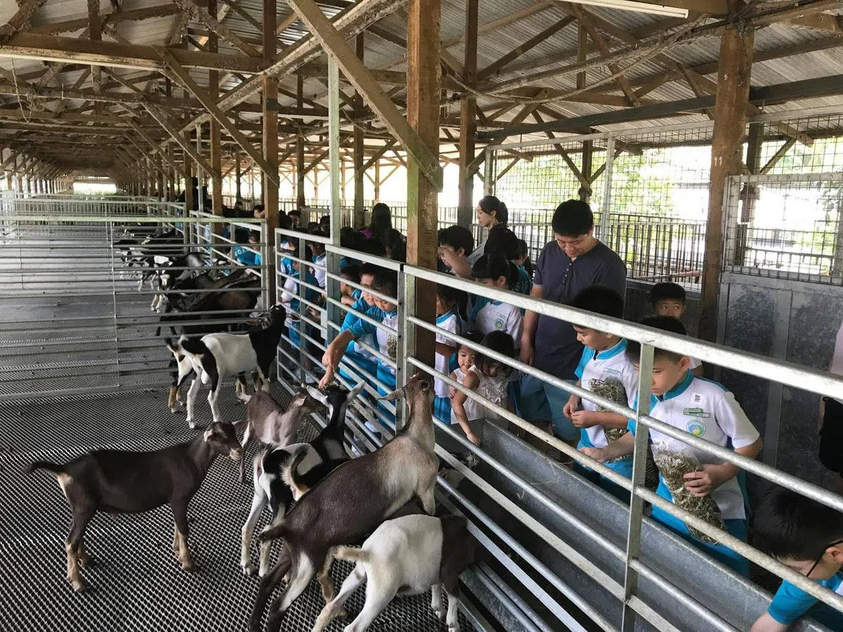  （夏氏牧羊场面簿） 
