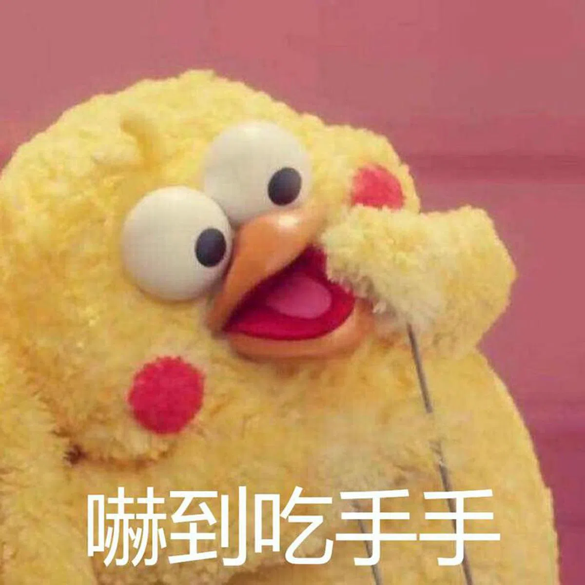  （互联网） 