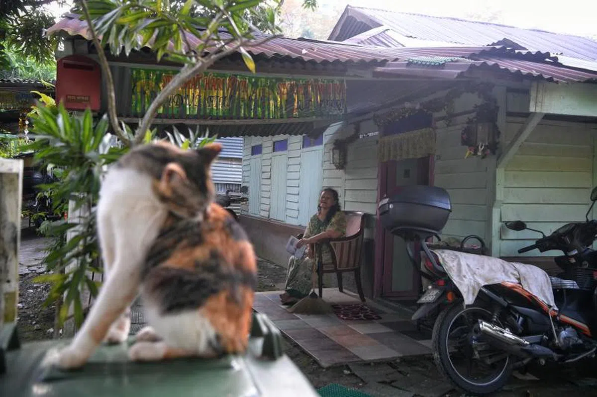 罗弄万国村保有淳朴乡村风情，是新加坡本岛仅存的甘榜。（海峡时报）