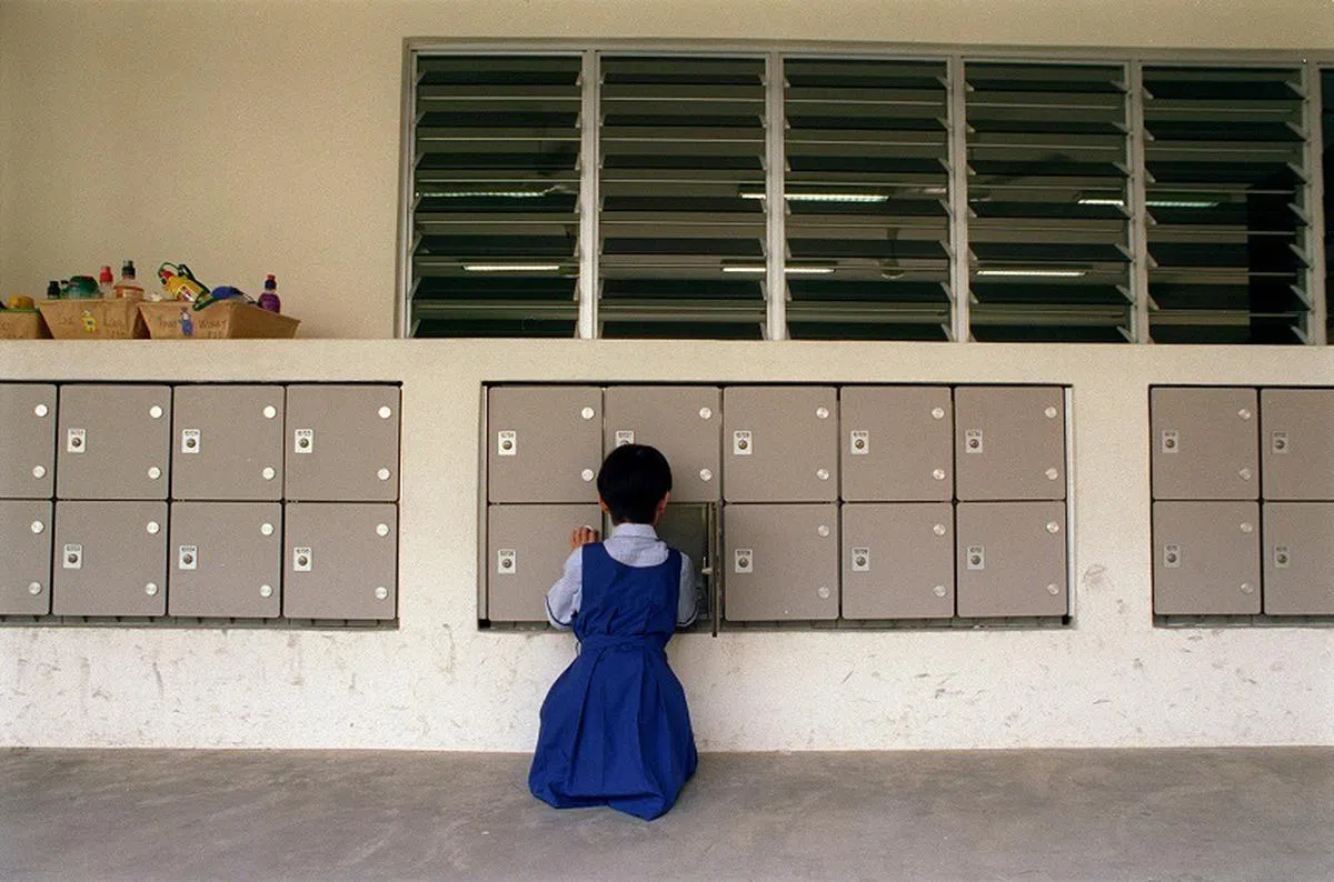 马来西亚民政党教育局主任邱证菖医生建议，校方可安排学生把一些参考书及工具书放在学校的储物箱。（海峡时报）