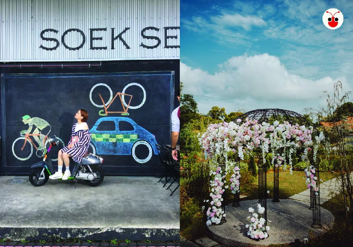 实里达区隐藏起来的“宝藏”——一个个周末好去处。（陈姿潓制图）