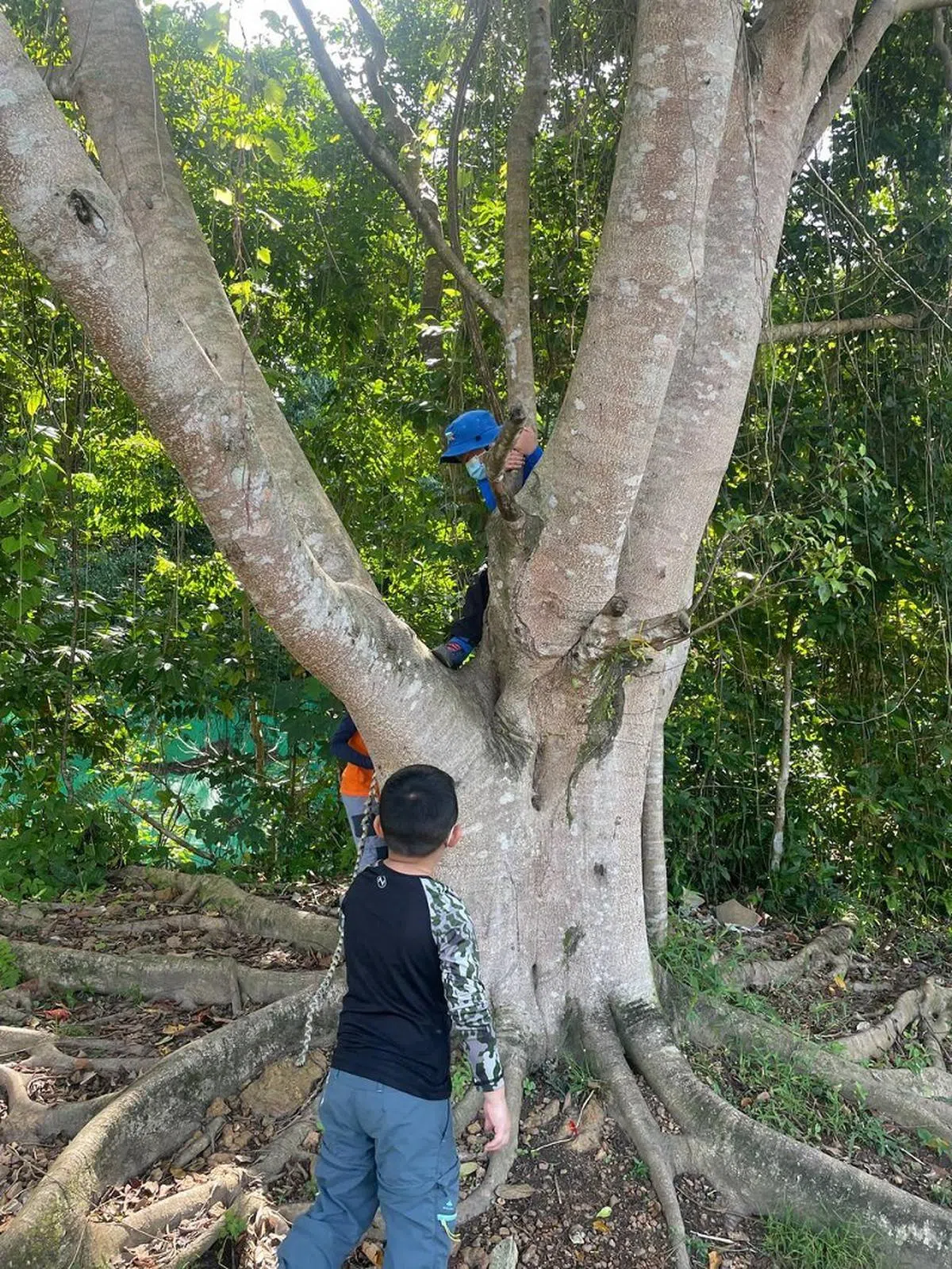 一些森林学园课程的卖点，是由孩童主导一系列活动的行程。（取自面簿）