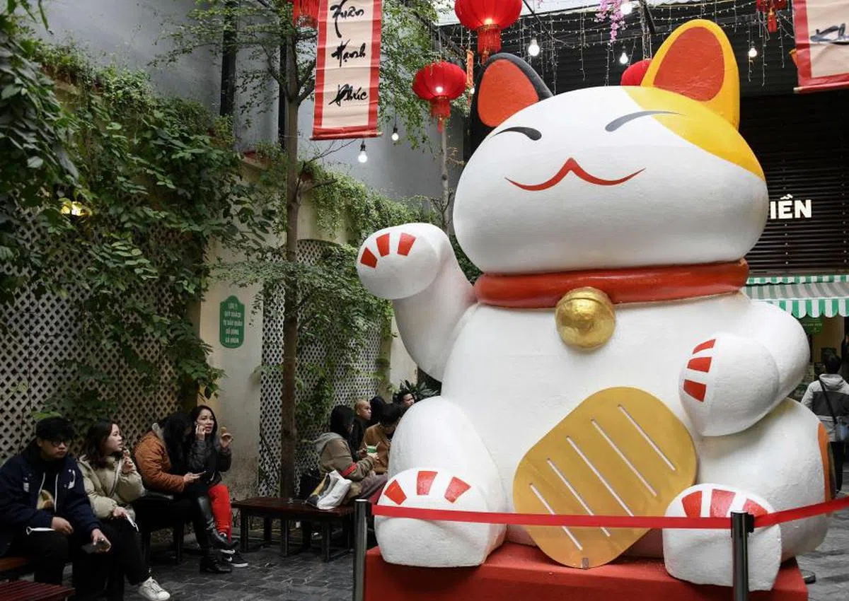 猫在越南极受欢迎。（法新社）