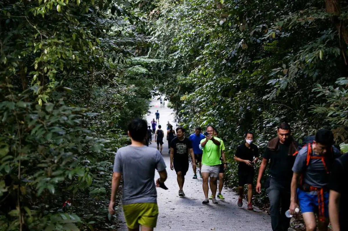  武吉知马自然保护区在前个周末一度因人潮过多而关闭。（联合早报） 