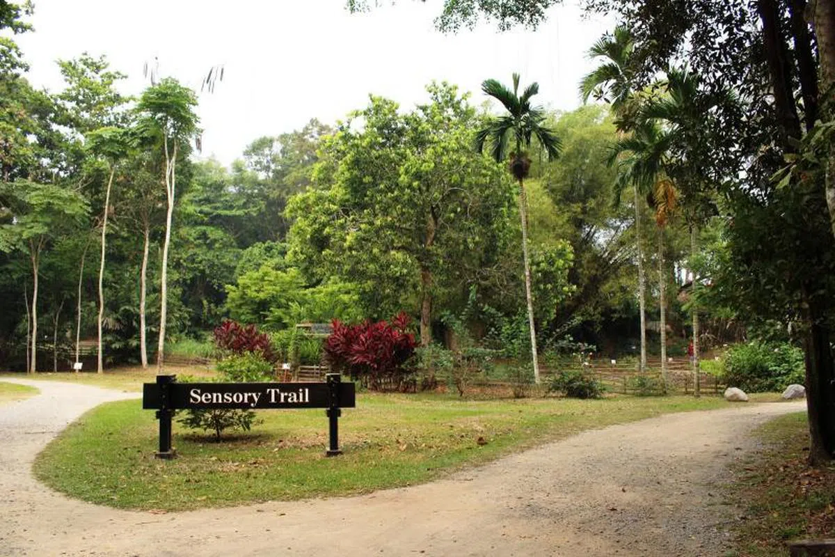  感官花园。（国家公园局） 