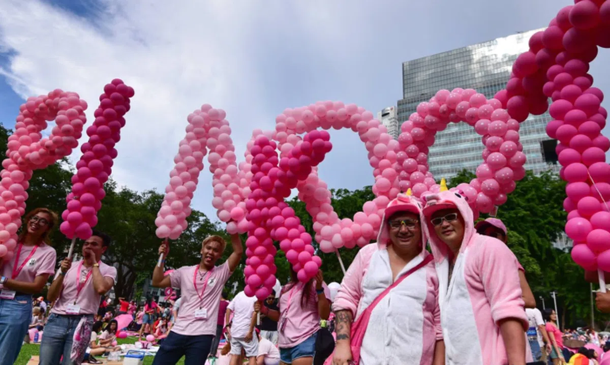  Pink Dot SG（粉红点）每年举行，旨在声援同性恋、双性恋、跨性别（LGBT）人士，倡导“有爱无类”，近年参与人数过万。（互联网） 