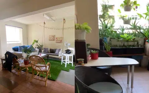 本地组屋走廊被打造成客厅和花园，引起网民两极化的反应。（取自脸书、蚁粉提供／红蚂蚁制图）