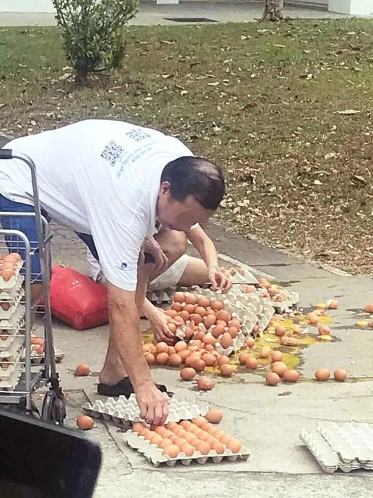  （互联网） 