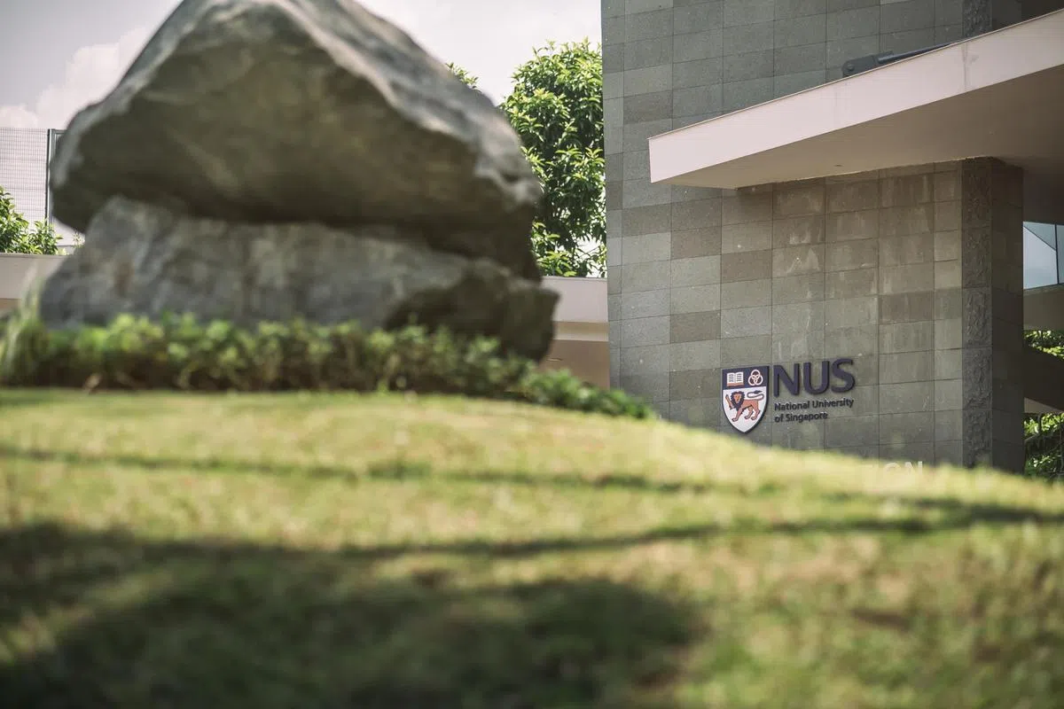  （新加坡国立大学面簿） 
