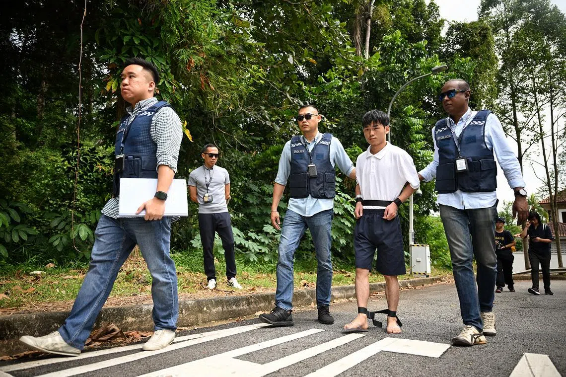 在中国当送餐员不是很好吗？干嘛来新加坡当犯罪团伙的跑腿？（海峡时报）