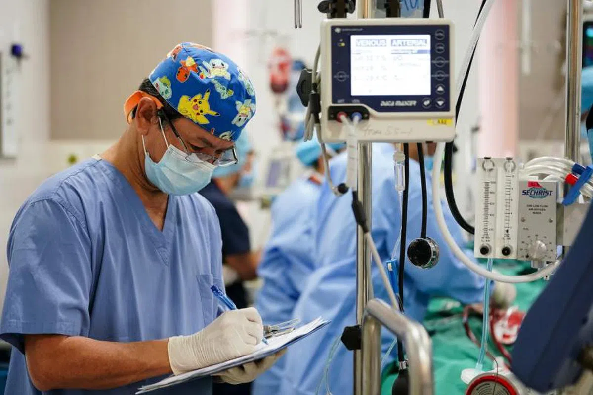  体外膜肺氧合（ECMO）将患者的血液输出体外，经过仪器人工供氧后，再输入体内。（新加坡国立大学医学组织提供） 